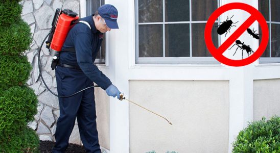 Yahşihan Bit İlaçlama böcek ilaçlama ve haşere kontrolü — ilaclama-tr.com